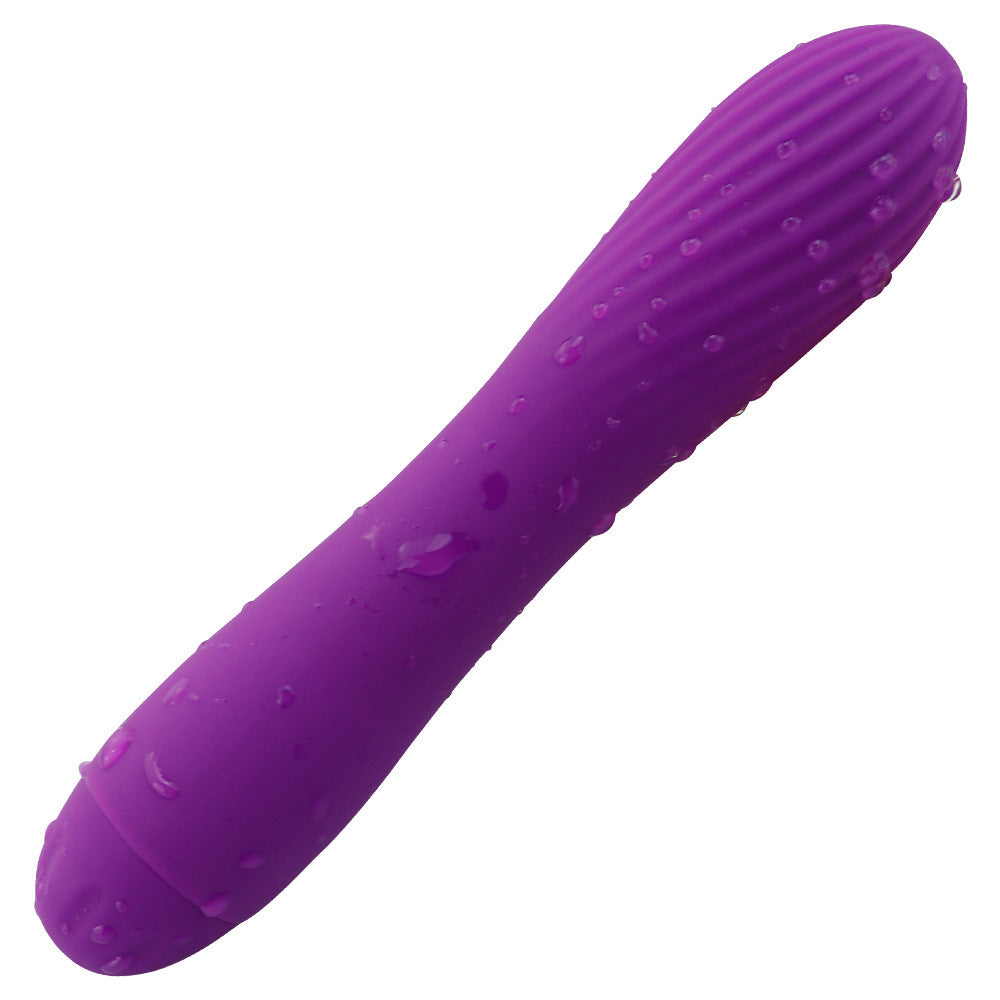 Rechargeable Silicone Vibrator for Women