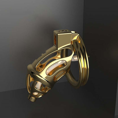 IronLust Fashion Chastity Cage